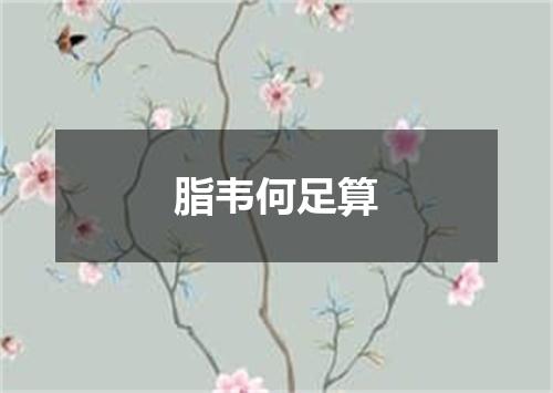 脂韦何足算