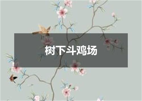 树下斗鸡场