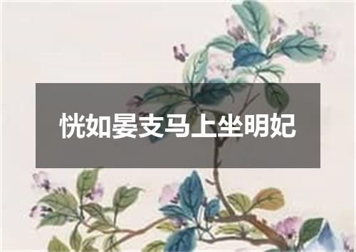 恍如晏支马上坐明妃