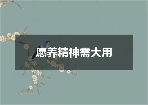 愿养精神需大用