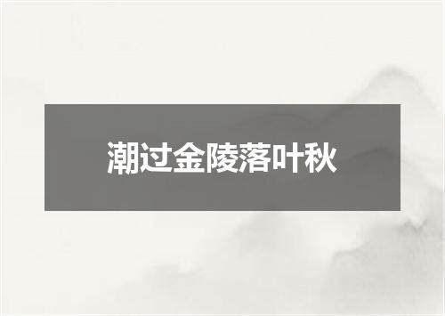 潮过金陵落叶秋