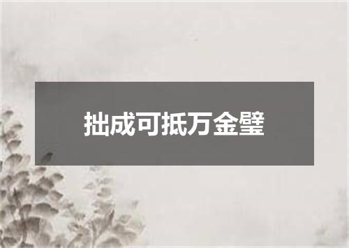 拙成可抵万金璧