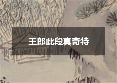 王郎此段真奇特