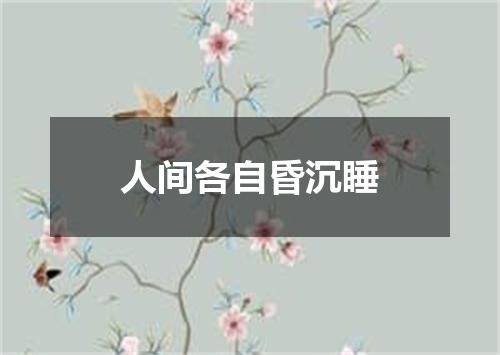 人间各自昏沉睡