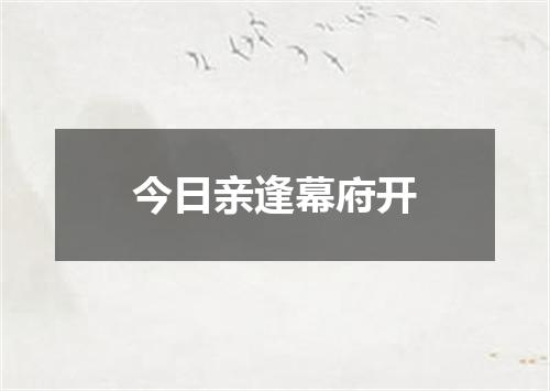 今日亲逢幕府开