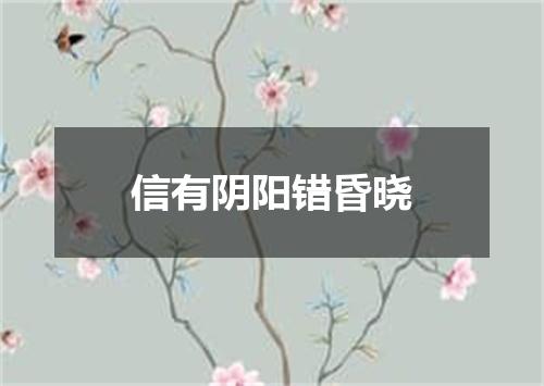 信有阴阳错昏晓