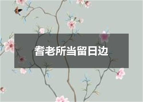 耆老所当留日边