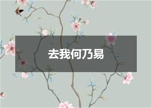 去我何乃易