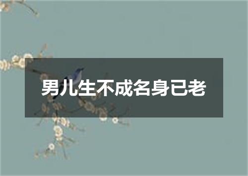 男儿生不成名身已老