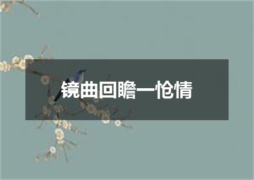 镜曲回瞻一怆情