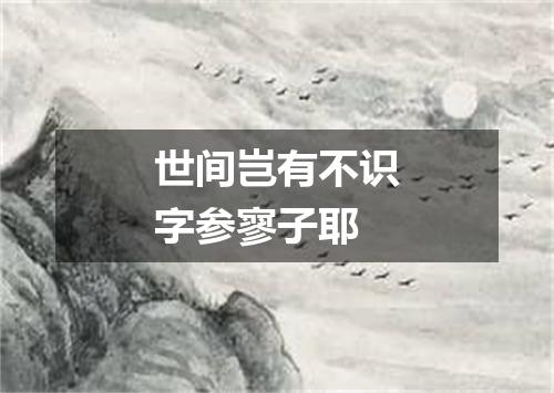 世间岂有不识字参寥子耶