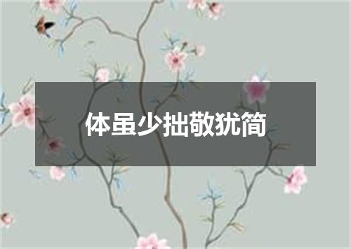 体虽少拙敬犹简