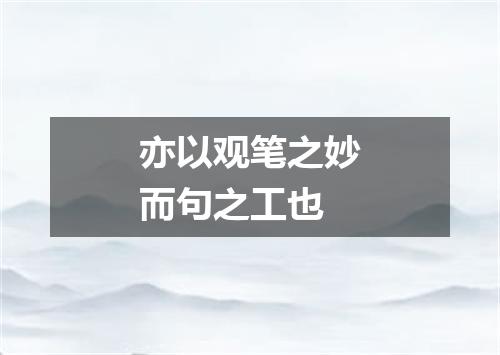 亦以观笔之妙而句之工也