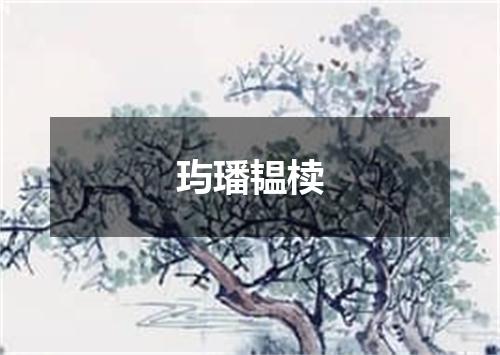 玙璠韫椟