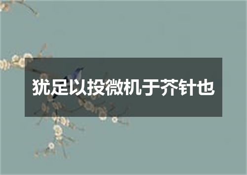 犹足以投微机于芥针也