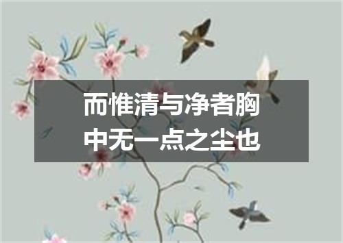 而惟清与净者胸中无一点之尘也