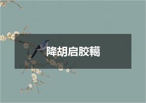 降胡启胶轕