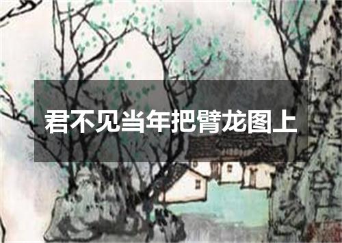 君不见当年把臂龙图上