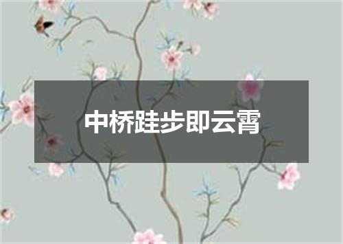 中桥跬步即云霄