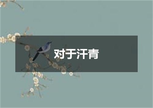 对于汗青