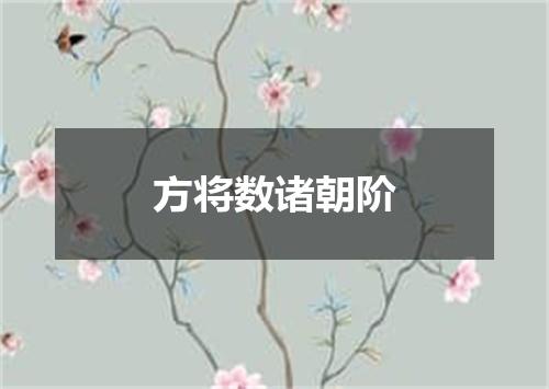 方将数诸朝阶