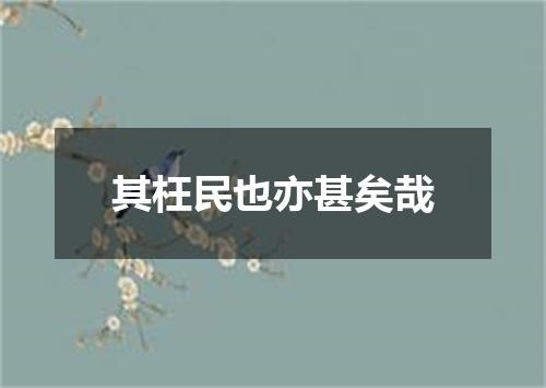 其枉民也亦甚矣哉