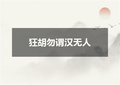 狂胡勿谓汉无人