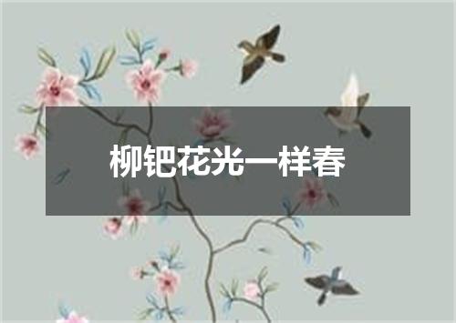 柳钯花光一样春