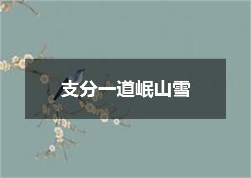 支分一道岷山雪