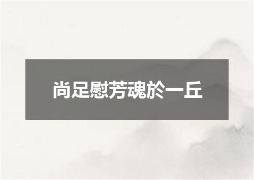 尚足慰芳魂於一丘