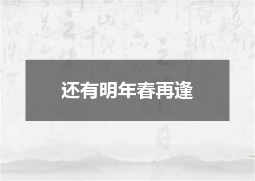 还有明年春再逢