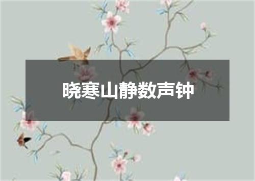 晓寒山静数声钟