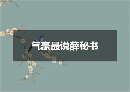 气豪最说薛秘书