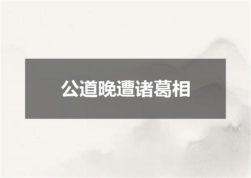 公道晚遭诸葛相