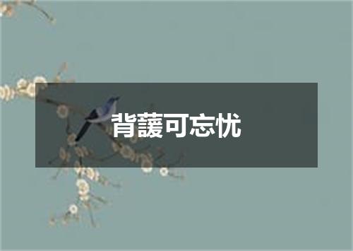 背蘐可忘忧