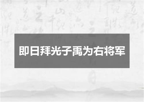 即日拜光子禹为右将军