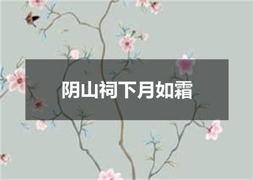 阴山祠下月如霜