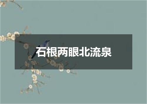 石根两眼北流泉