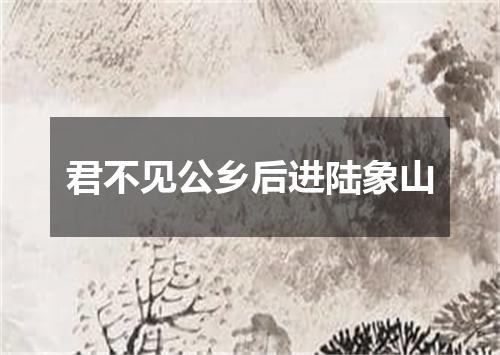 君不见公乡后进陆象山