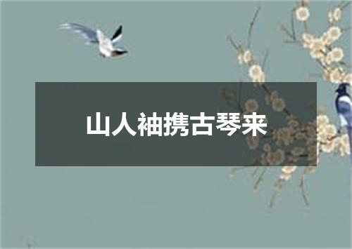 山人袖携古琴来