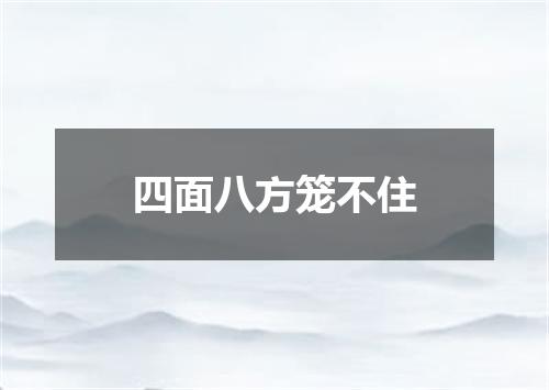 四面八方笼不住