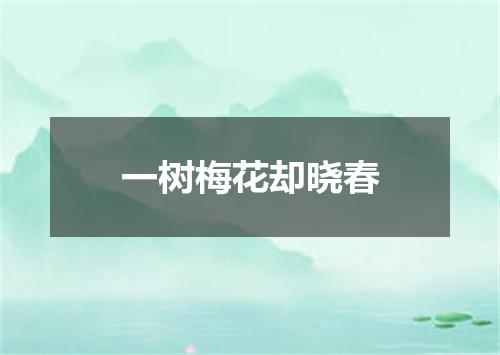 一树梅花却晓春