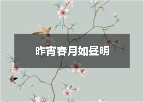 昨宵春月如昼明