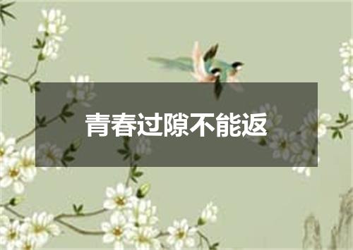 青春过隙不能返