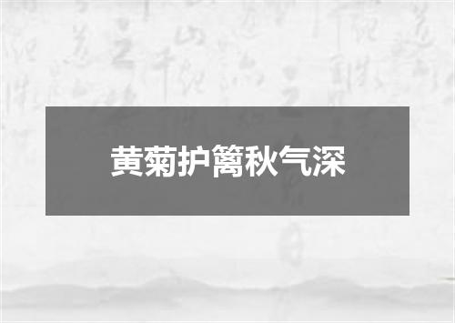 黄菊护篱秋气深