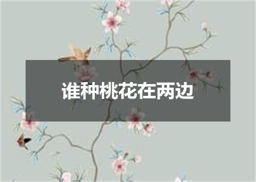 谁种桃花在两边