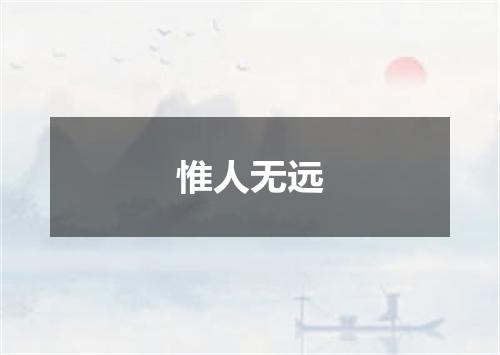 惟人无远