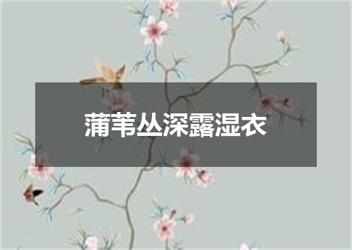 蒲苇丛深露湿衣