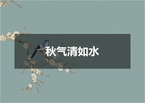 秋气清如水