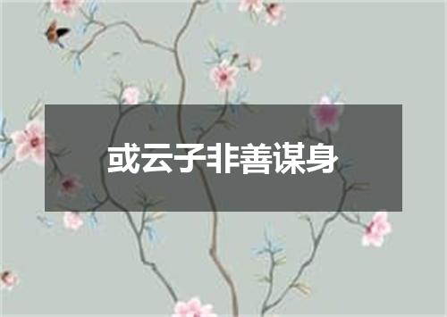 或云子非善谋身